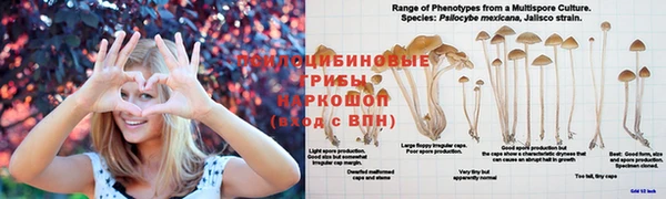 мдпв Коряжма