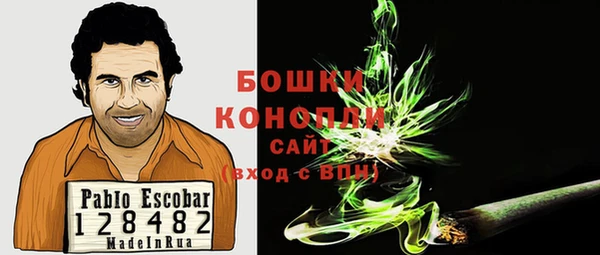 apvp Козельск