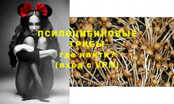 гашиш Козловка