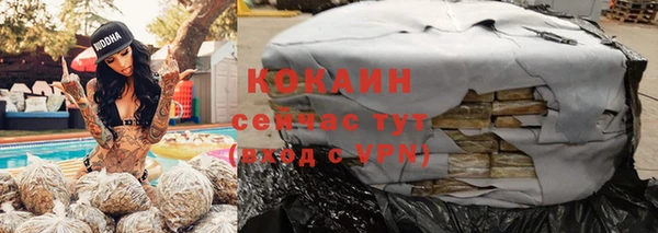 apvp Козельск