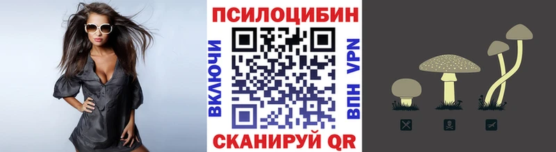 Купить  Челябинск  Псилоцибиновые грибы MAGIC MUSHROOMS 